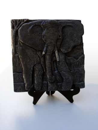 Elephant feature image